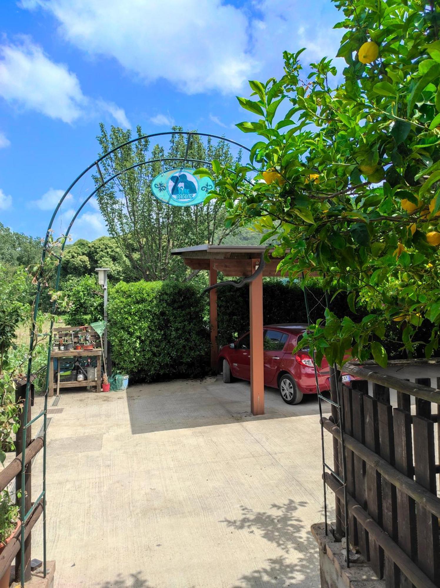 Caledonia B&B Mercato San Severino Zewnętrze zdjęcie
