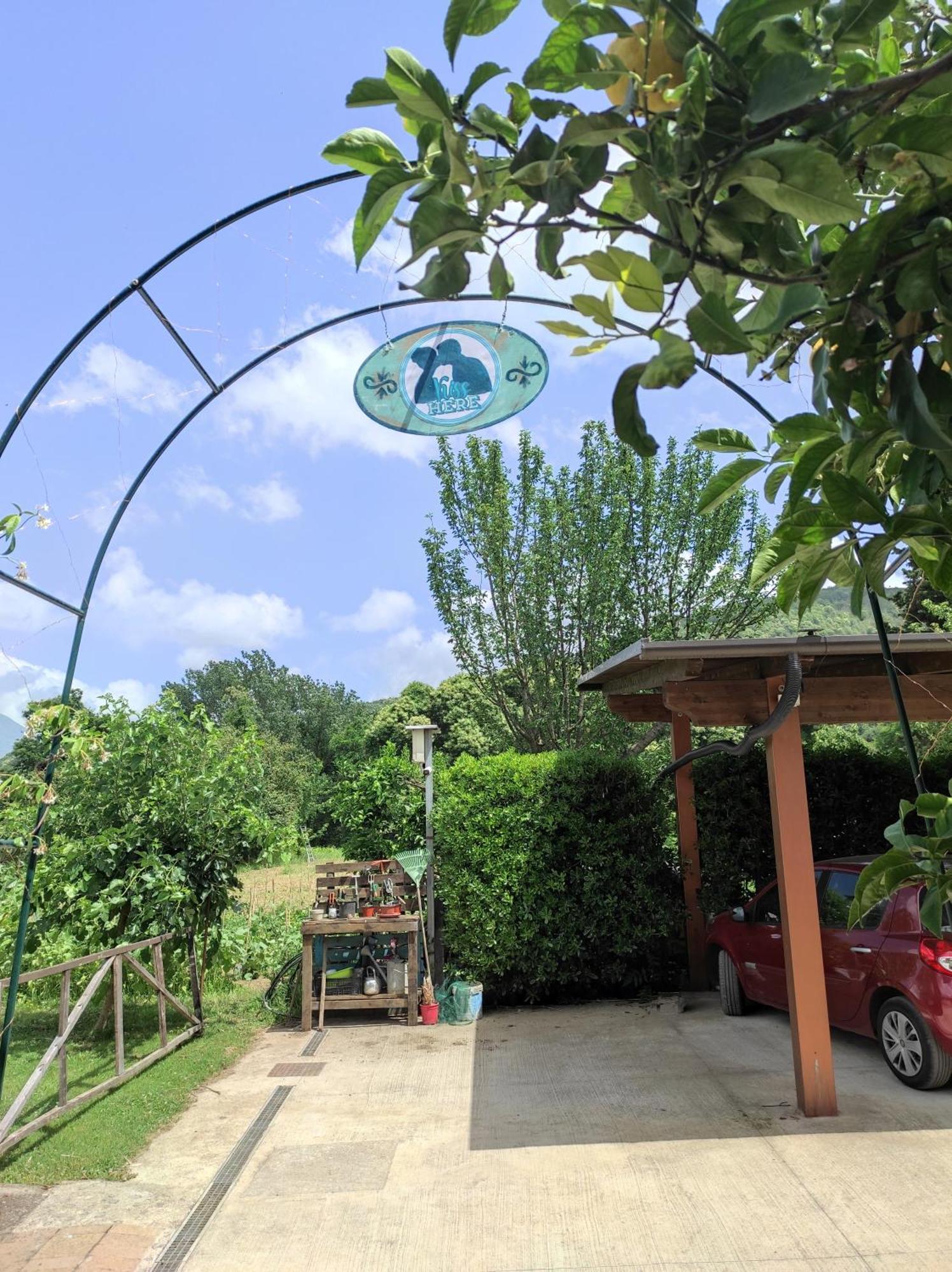 Caledonia B&B Mercato San Severino Zewnętrze zdjęcie