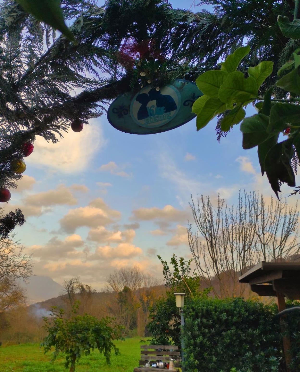 Caledonia B&B Mercato San Severino Zewnętrze zdjęcie